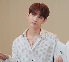 Pin By On Seventeen Joshua Meme Meme Faces Seventeen Memes
