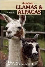 Pin On Alpaca