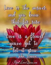 At least three of the most famous star wars movie quotes are not actually what you think. Famous Love Quotes Purelovequotes