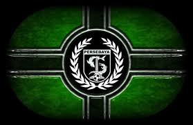 Singkatan dari rumah sakit jiwa prof. Wallpaper Persebaya 720x1280 Wallpaper Teahub Io