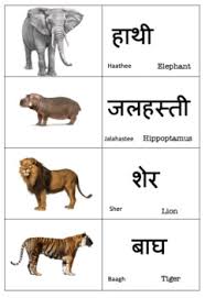 Hello friends, aaj ki post me hum pet animal name ke bare me hindi or angreji dono me janege pet animal ko . Animals Name In Hindi By Learning Is A Habit Teachers Pay Teachers