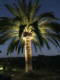 We did not find results for: 23 Light Ideas In 2021 Landscape Lighting Outdoor Lighting Backyard Lighting