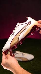 Image result for Puma 20