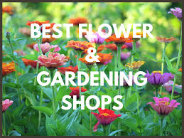 Not only do we source out the best and freshest fairfield flowers, but we also other florists in fairfield have been said to have ordinary flowers and even more ordinary customer service. Best Flower Nurseries And Gardening Shops Our Town Crier Directory For Businesses In Fairfield Easton Westport Weston Wilton And Norwalk Ct