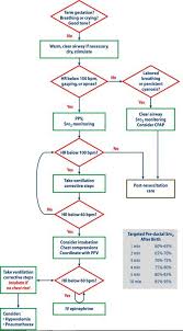 Nrp Chart Chart Flow Midwifery