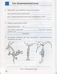 учебник по биологии 7 класс латюшин скачать бесплатно Pdf Rabochaya Tetrad Biologiya 7 Klass Latyushin Shapkin Preobrazhenskaya Chitat Onlajn Besplatno