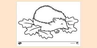 Includes images of baby animals, flowers, rain showers, and more. Hedgehog Colouring Sheet Nature Colouring Pages