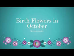 Korean Birth Flowers For October Youtube