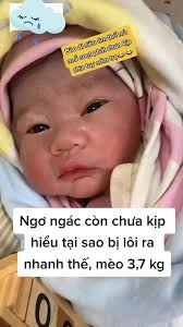 Siro Ăn Ngon Babyplus Giá Sỉ Hà Nội