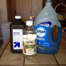 All of our cleaning compounds and waxes have been approved by automobile and truck manufacturers for safe detailing use on their vehicles both new and used. Where Can I Get My Car Interior Shampooed Edukasi News