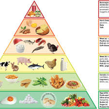 Phosphorus additives are found on the list of ingredients on the nutrition. The Phosphorus Pyramid Foods Are Distributed On Six Levels On The Download Scientific Diagram