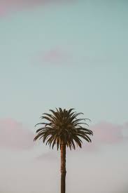 Official home of the legendary dux bed from sweden. Palo Alto California Pictures Download Free Images On Unsplash