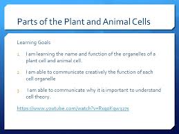 Name parts of animal cell. Parts Of The Plant And Animal Cells Ppt Video Online Download
