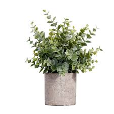 Maybe you would like to learn more about one of these? Wholesale Eucalyptus Artificial Potted Plastic Plants Mini Green Plants For Office Desk Decoration Buy Artificial Potted Plant Pots Plant Face Pot Plant Product On Alibaba Com