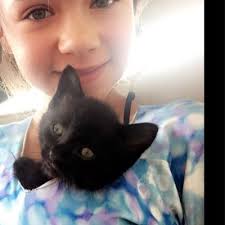 Lee Bendall's Instagram, Twitter & Facebook