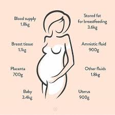 Pin On Maternity Tips