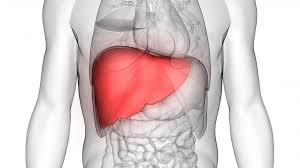 Liver Transplant Surgery Replaces A Failing Or Sick Liver With One That Is Healthy Liver Transplant Is The Liver Disease Treatment Liver Disease Spine Surgery