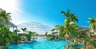 Gäste erleben hier einzigartige atmosphäre unter 400 echten südseepalmen. Therme Badewelt Sinsheim
