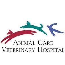 We believe it is also essential to include you as the pet owner in the decision. Animal Care Veterinary Hospital Inc Home Facebook
