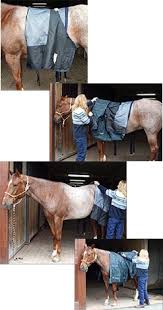 Wann dein pferd eine decke braucht (oder auch nicht) etliche meinungen gibt es, wenn es um das thema eindecken von pferden geht! Pferd Eindecken Wann Wie Wieso Horze Magazin