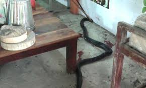 We did not find results for: à¸§à¸‡à¸‚ à¸²à¸§à¹à¸•à¸ à¸ˆà¸‡à¸­à¸²à¸‡ à¹€à¸¥ à¸­à¸¢à¹€à¸‚ à¸²à¸š à¸²à¸™à¸Š à¸„à¸­à¹à¸œ à¹à¸¡ à¹€à¸š à¸¢ à¹€à¸ˆ à¸²à¸‚à¸­à¸‡à¸§ à¸‡à¸«à¸™ à¸•à¸²à¸¢à¸ à¸­à¸™à¹à¸ˆ à¸‡à¸ à¸  à¸¢à¸ˆ à¸š