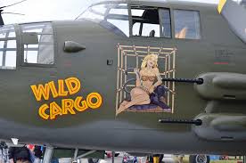 Pin On Nose Art
