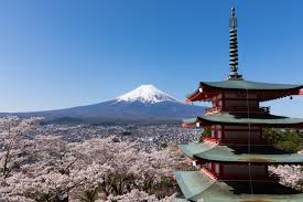 5 Best Cherry Blossom Spots Around Mt Fuji 2021 Japan Web Magazine