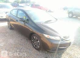 Image result for Kona Coffee 2013 Honda