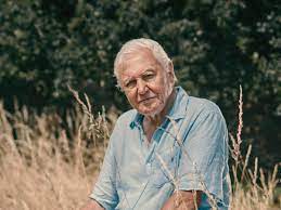 'very moved by the london 2021. David Attenborough Delivers Message To Begin 2021 During New Year S Celebrations The Independent
