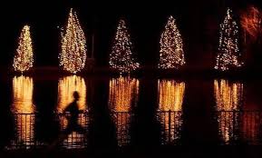 No Surprise Here Mcadenville Makes Ranking Of Nation S Top Holiday Light Displays Holiday Lights Display Christmas Town Holiday Lights