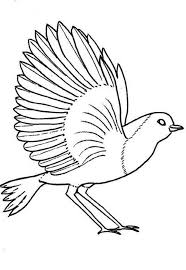Cartoon bird coloring pages ; Robin Bird Coloring Page Color Luna Bird Coloring Page Bird Coloring Coloring Pages