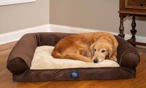 The serta quilted gel memory foam ortho couch pet bed delivers your furriest family member the best seat in the house. Serta Extra Plush Bolster Dog Bed Groupon