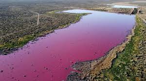 Second in south america only to brazil in size and population, argentina is a plain, rising from the atlantic to the chilean border and the towering andes peaks . Watch Lagoon Turns Shocking Pink And Fish Farming May Be To Blame Euronews