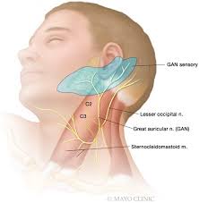 Image result for Ear Nerve Block