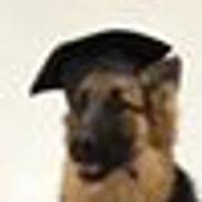Rob's dogs specializes in dog training in phoenix, as well as german shepherd dog breeding. Great Companion Dog Training Phoenix Az Alignable