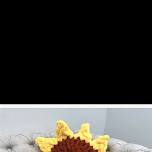 Here Comes the Sun "Flower" Chunky Crochet Pillow Class