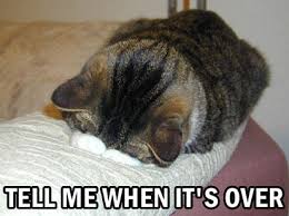 Tell Me When Cat Meme Cat Planet Cat Planet