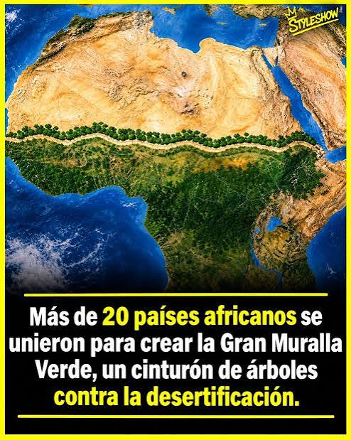 África está levantando una de las obras ecológicas más impresionantes del planeta 🌍🌱 Esta es “muralla verde” de 8 mil kilómetros hecha de árboles, arbustos y vegetación para frenar el avance del d