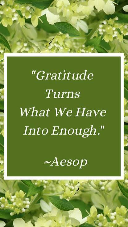 Gratitude turns what we have into enough.