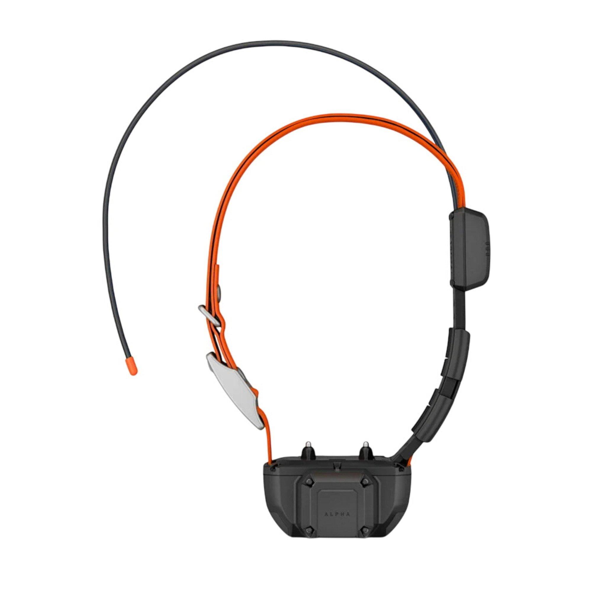 Garmin Alpha TT 25 Dog Collar