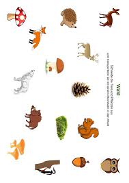 Learn vocabulary, terms and more with flashcards, games and other only rub 220.84/month. Ansaugspiel Wald Waldpadagogik Wald Grundschule Karten Kindergarten