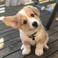 Abigail Batten (abbatten)