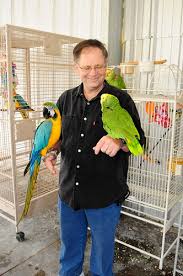 An amazon parrot's mood is one of the easiest to read among parrot species because it is excellent at expressing itself through its body language: The Best Thing You Can Do In Preparation Of Getting A Pet Parrot