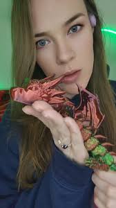 Fourth Wing Large Print