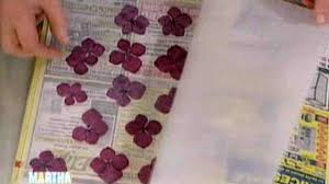 Maybe you would like to learn more about one of these? Pressing Flowers Video Martha Stewart