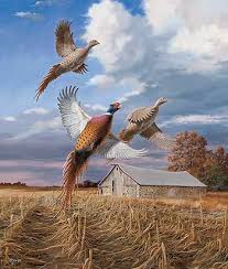 Autumn Brilliance Pheasants By David A Maass Wild Wings Wildlife Art Hunting Art Wildlife Paintings