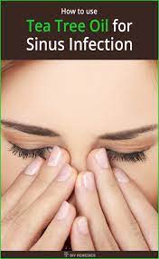 How Is Tea Tree Oil Used For Sinus Infection Sinusitis Sinus Infection Oils For Sinus