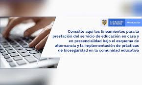 Información de matrícula de educación preescolar, básica y media discriminada por sector para cada nivel educativo, actualizada al año 2019. Mineducacion Emite Lineamientos Para Implementar Alternancia En La Educacion En Casa Y Presencial El Portal News