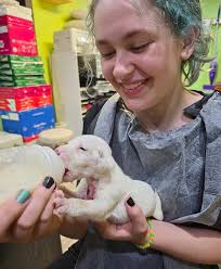 Southern Hearts Rescue Helps Animals Who Need It Most