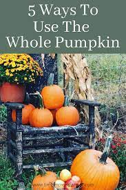 How To Use The Whole Pumpkin Timber Creek Farm Pumpkin Garden Harvest Homestead Gardens